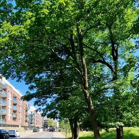 Uroczy Apartament W Samym Centrum Gdanska , Bezplatne Miejsce Parkingowe. *