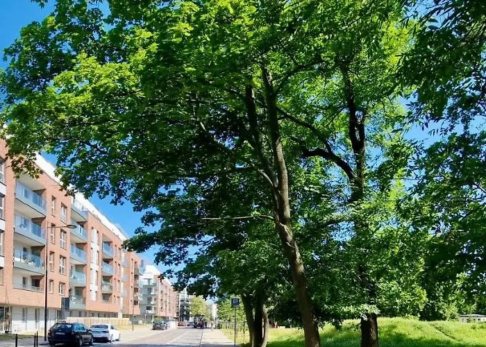 Uroczy W Samym Centrum Gdanska , Bezplatne Miejsce Parkingowe. *